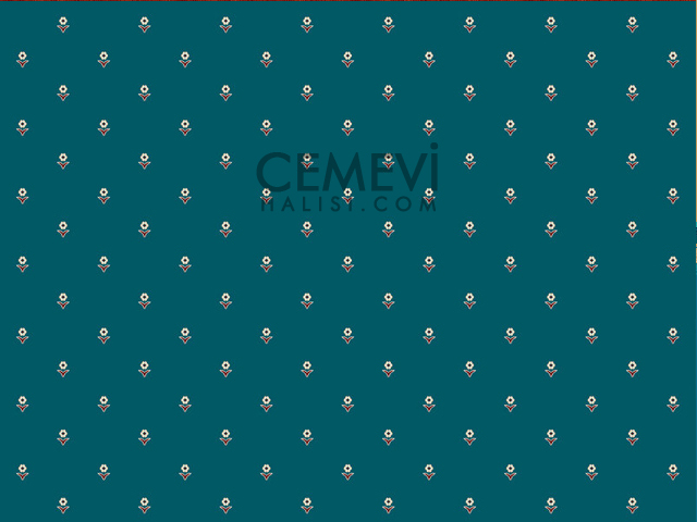 Cemevi halisi ca30